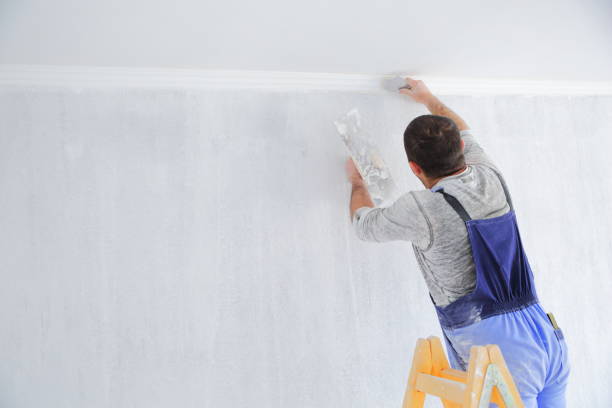 Painting Contractors Dubai: Enhance Your Space with Vila Painting Service